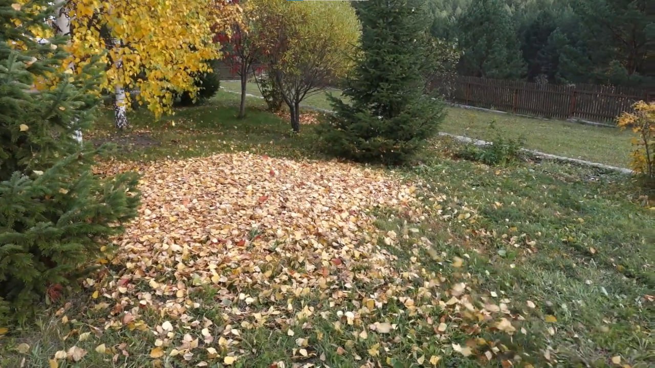 https://nefteyugansk.mslandshaft.ru/storage/app/uploads/public/642/ac5/f22/642ac5f2293e2935715739.jpg